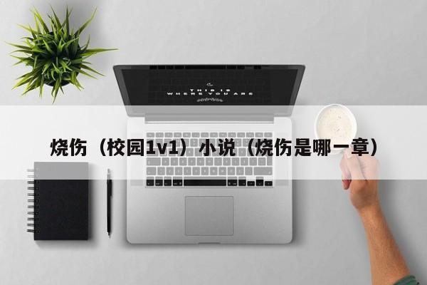 烧伤（校园1v1）小说（烧伤是哪一章）