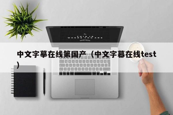 中文字摹在线第国产（中文字幕在线test）