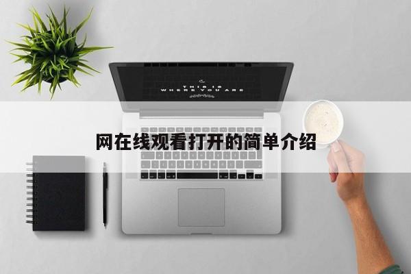 网在线观看打开的简单介绍
